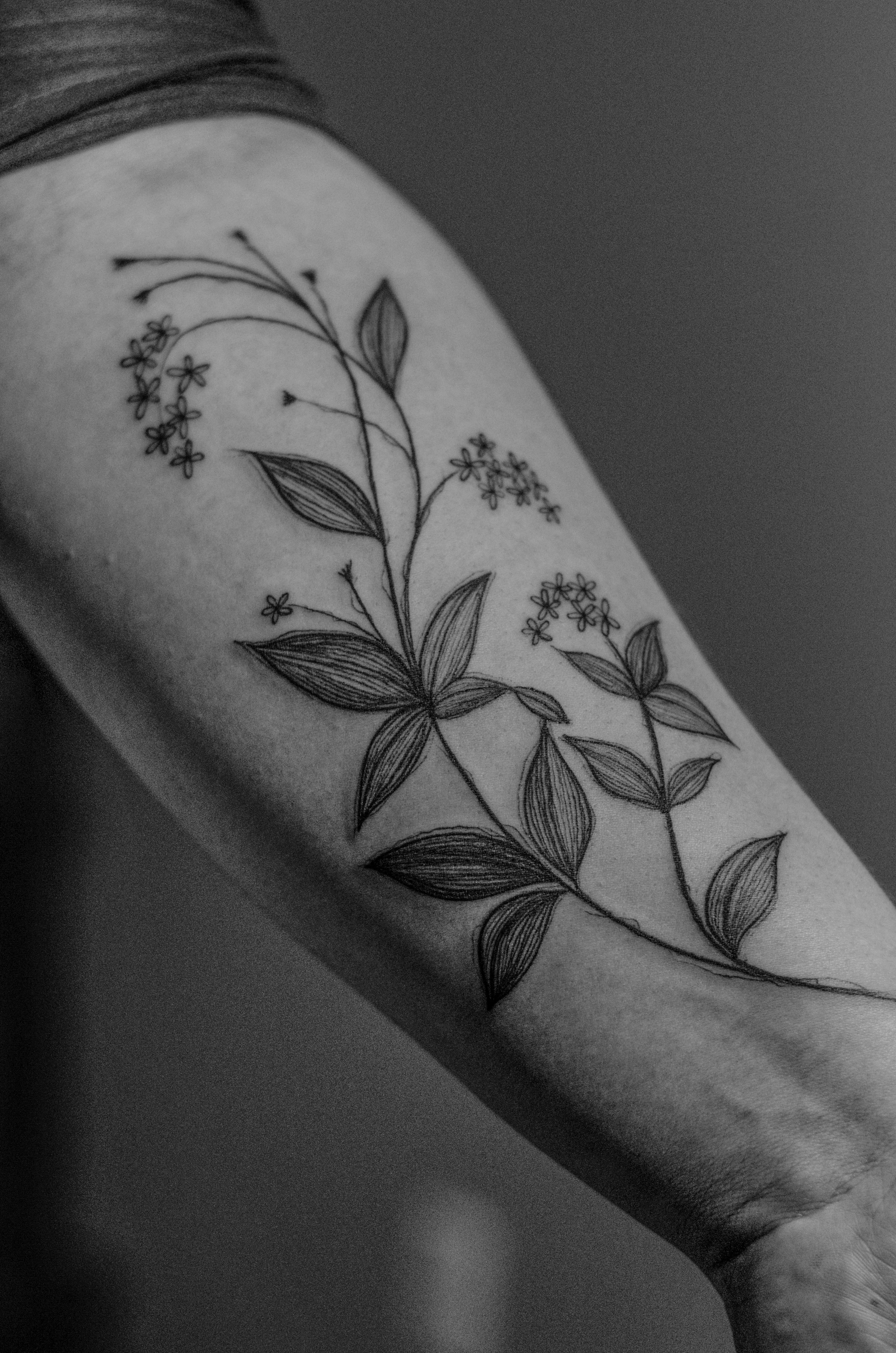 Minimalist tattoo made in fineline on the forearm area, representing a branch of small leaves and flowers.