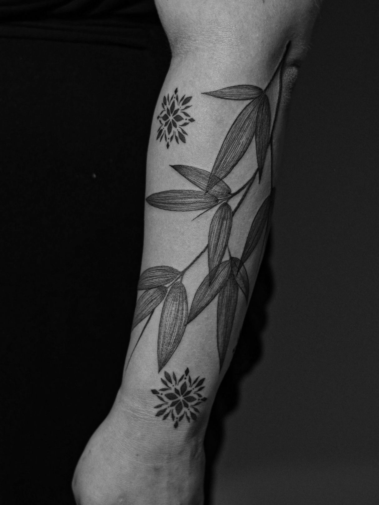 Minimalist tattoo made in fineline on the forearm area, representing a branch of bamboo leaves, with two additional mini mandalas.