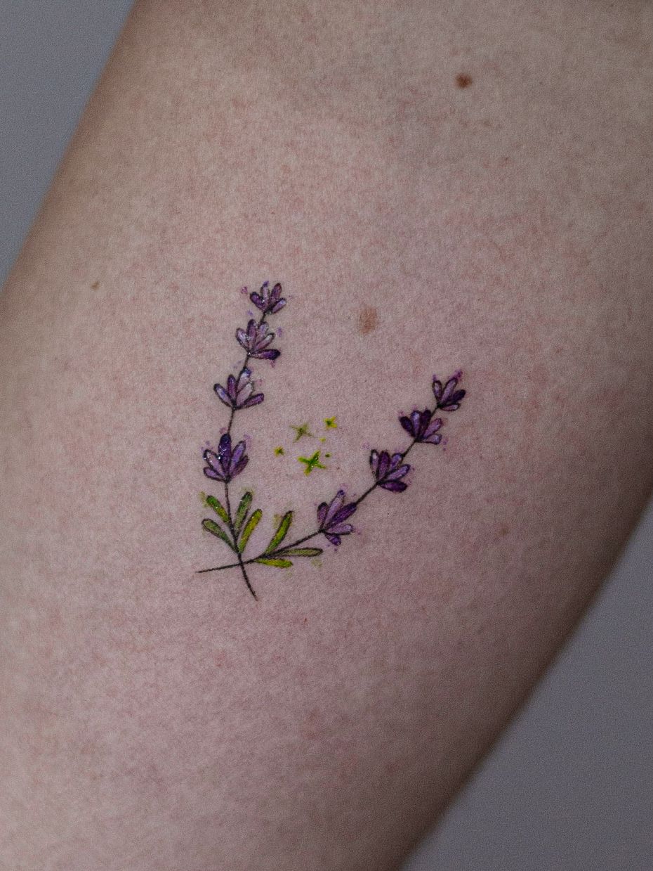 Minimalist tattoo made in fineline, colored with purple/lilac/green, on the biceps area, representing two lavender branches.