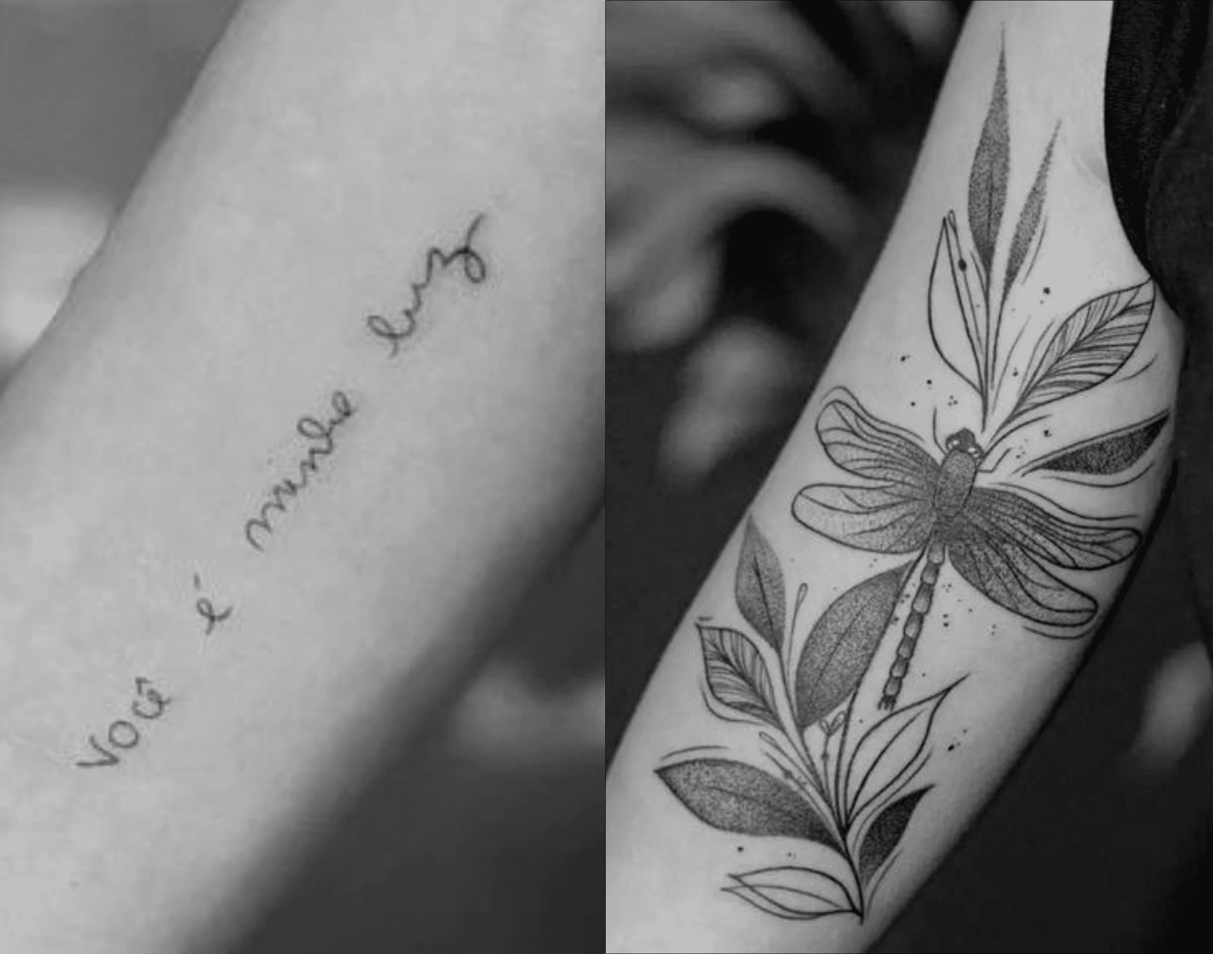 Cover-up made in fineline and dotwork on the biceps area, representing a dragonfly and leaves, covering an old tattoo.