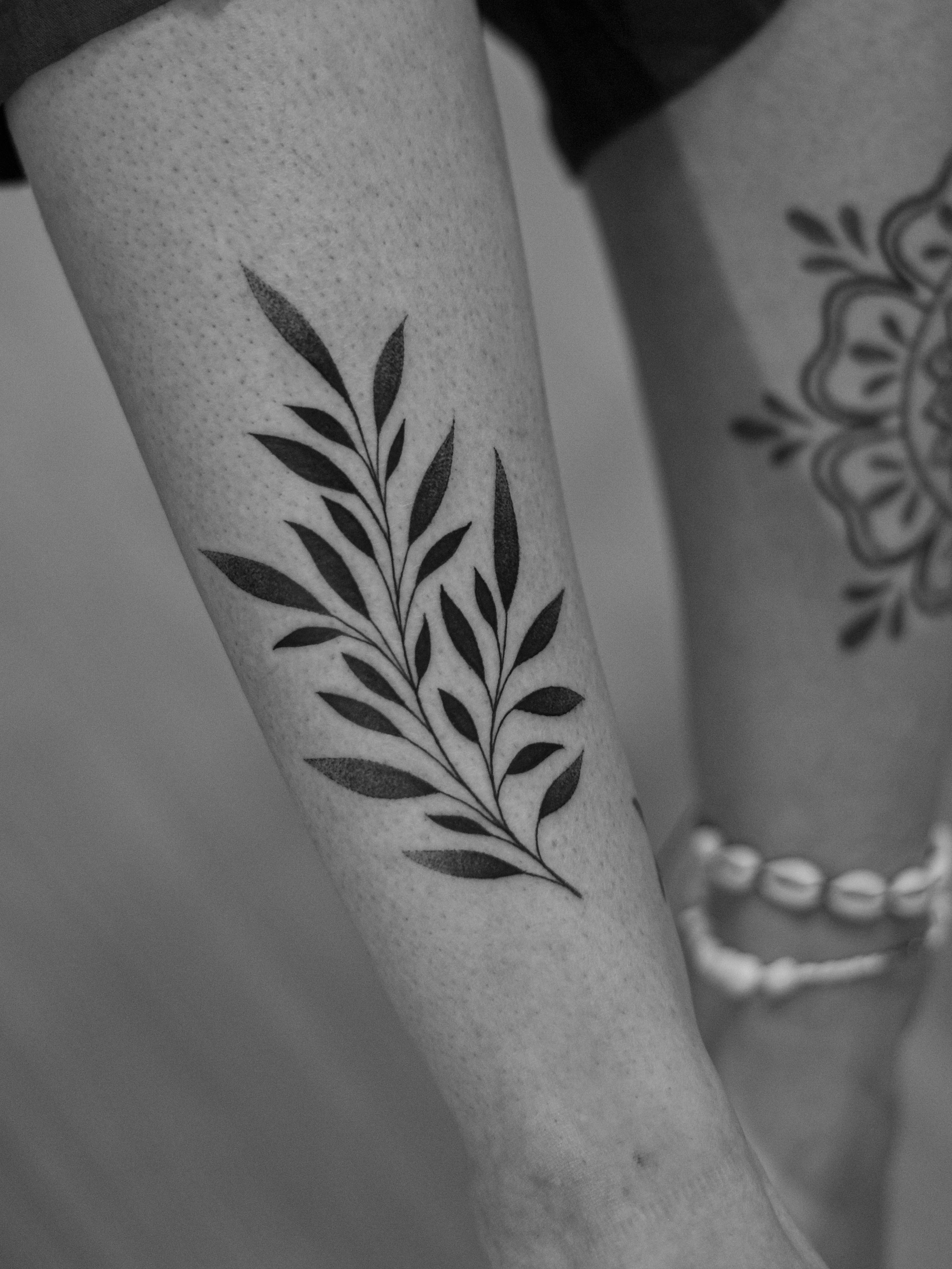 Minimalist tattoo made in dotwork on the tibia area, representing a branch of leaves.
