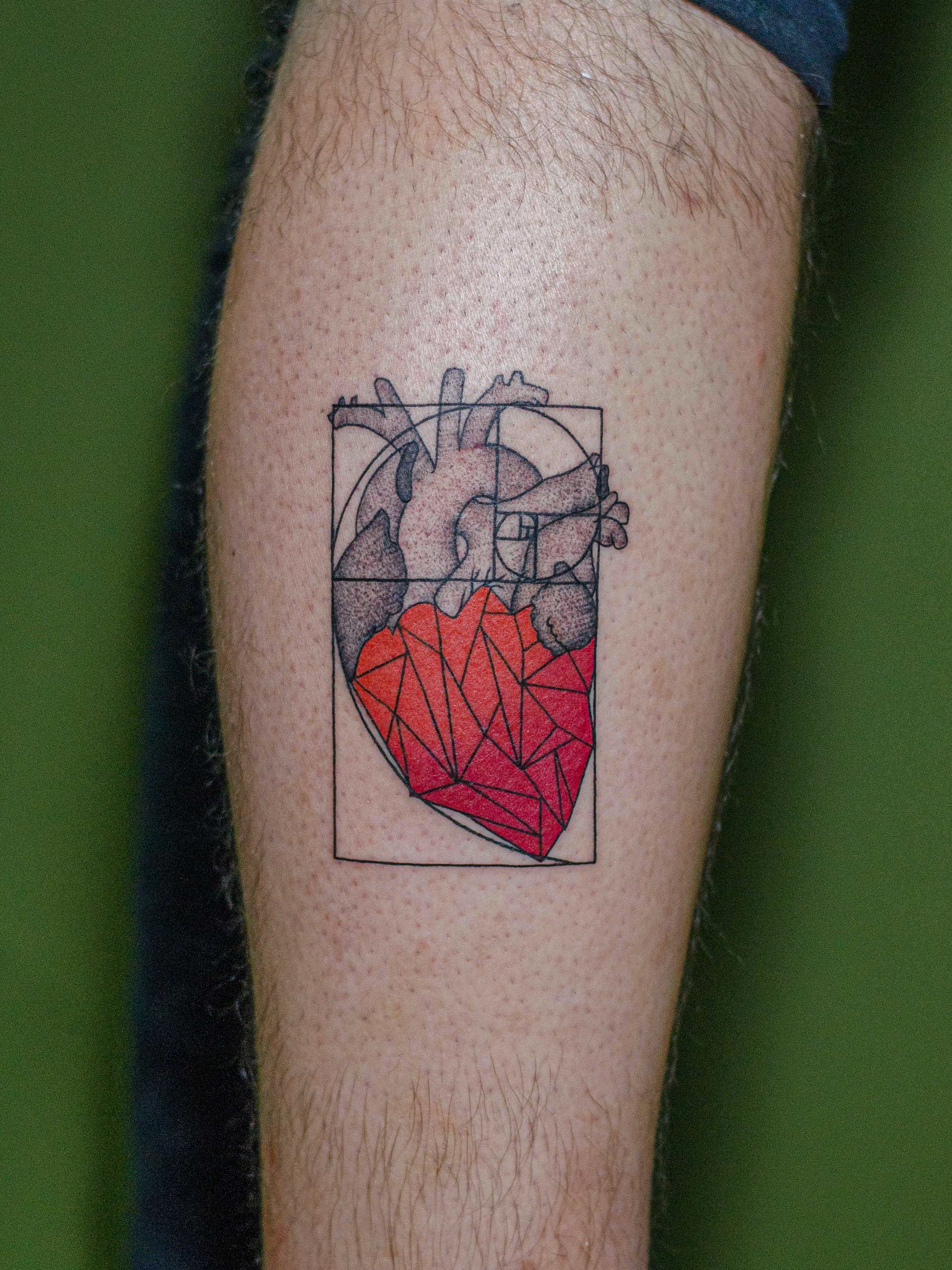Minimalist tattoo made in fineline, colored, representing a heart within the fibonacci sequence.
